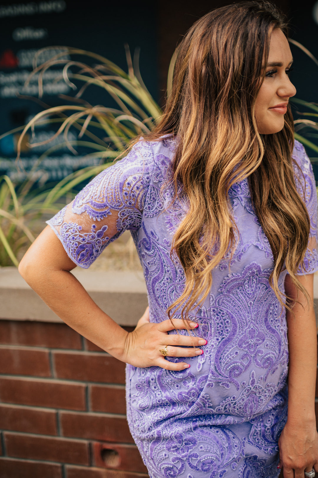 Zara - Lavender