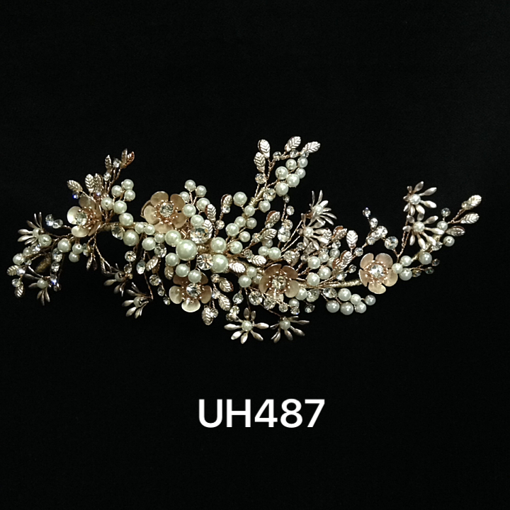 UH487054