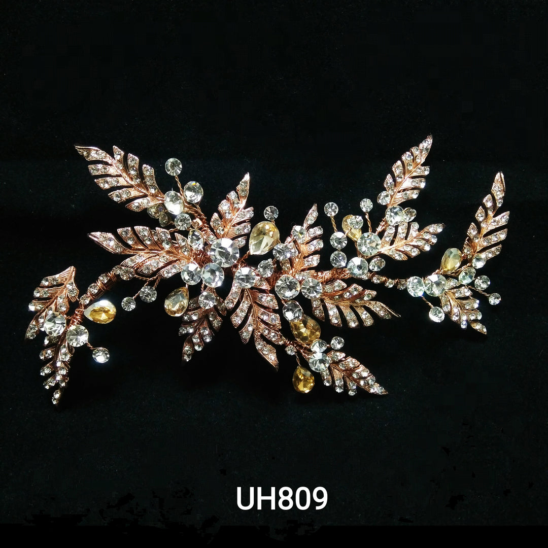 UH809